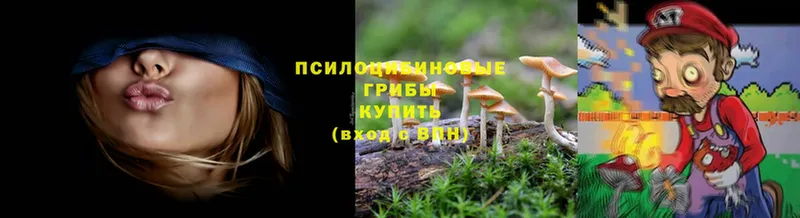 купить наркотик  Микунь  блэк спрут зеркало  Галлюциногенные грибы GOLDEN TEACHER 